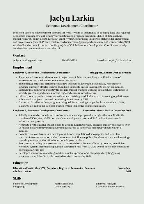 economic development director resume objective