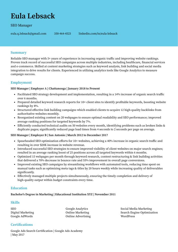 SEO Manager Resume